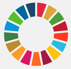 SDG-Logo-PNG